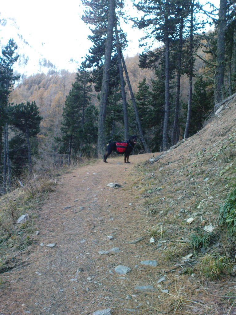 09 - Me, hiking 3